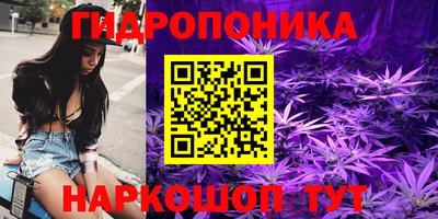 гашиш Кимры