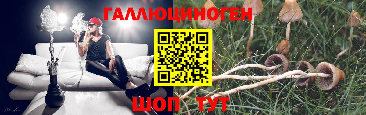 Псилоцибиновые грибы Cubensis  Псилоцибиновые грибы мухоморы  Вход с VPN  Благовещенск 